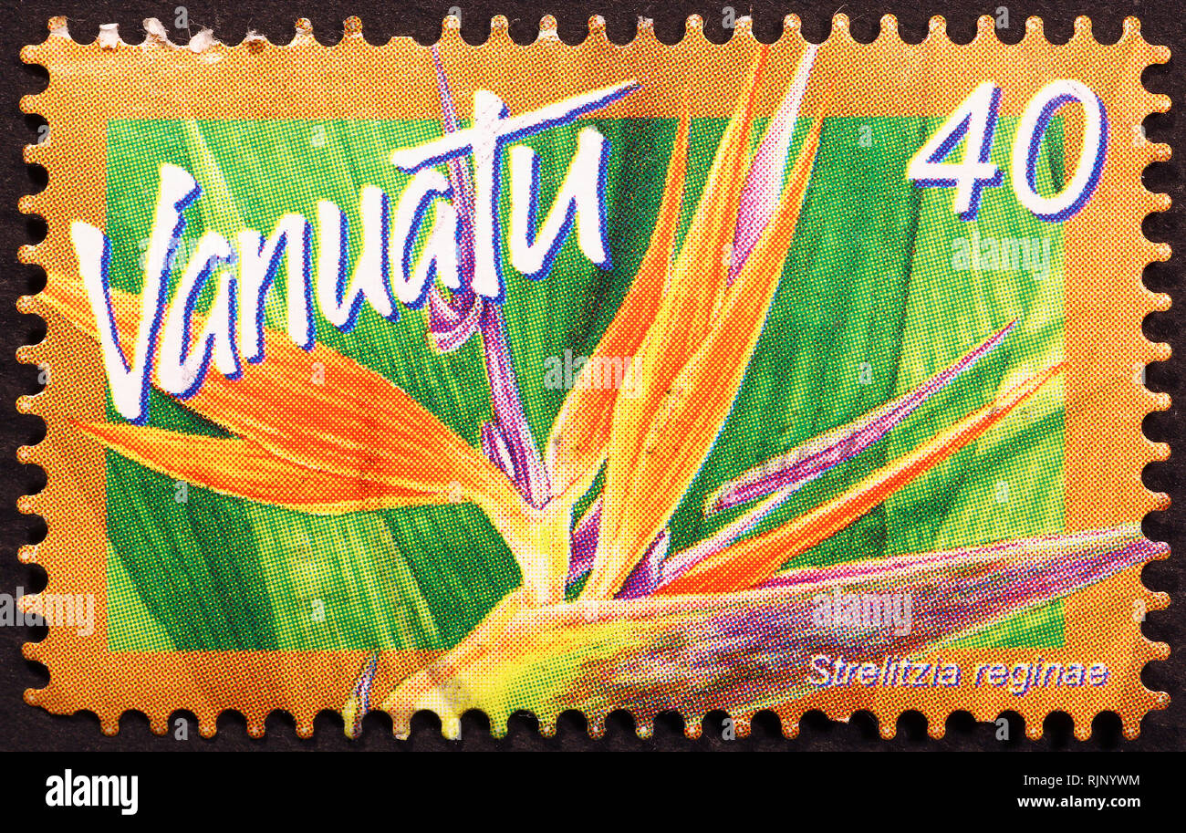 Strelitzie Blume auf Briefmarke von Vanuatu Stockfoto