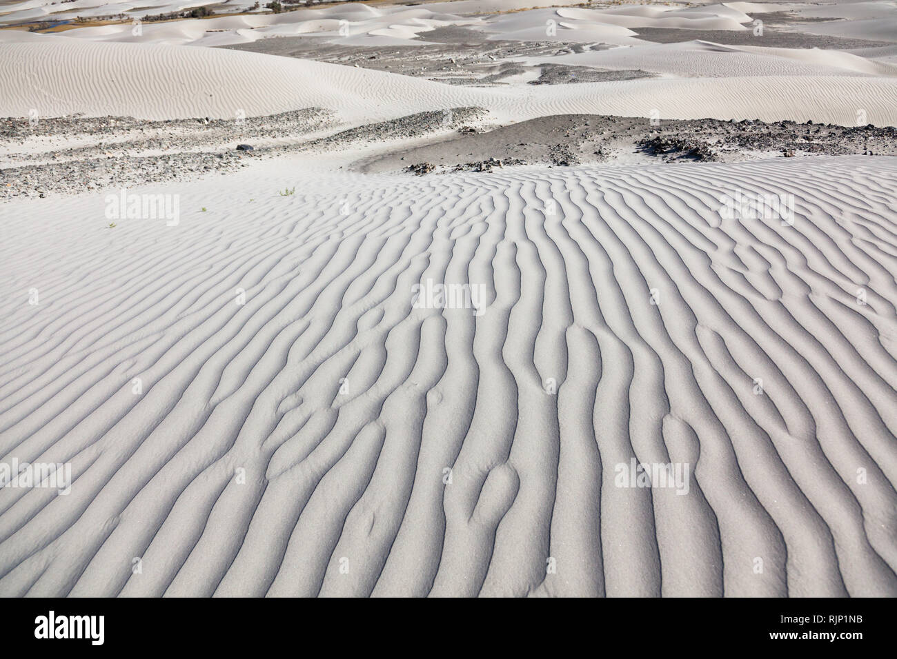 Schöne Muster auf Sanddünen im Bereich der Hunder, Nubra Valley, Ladakh, Jammu und Kaschmir, Indien Stockfoto