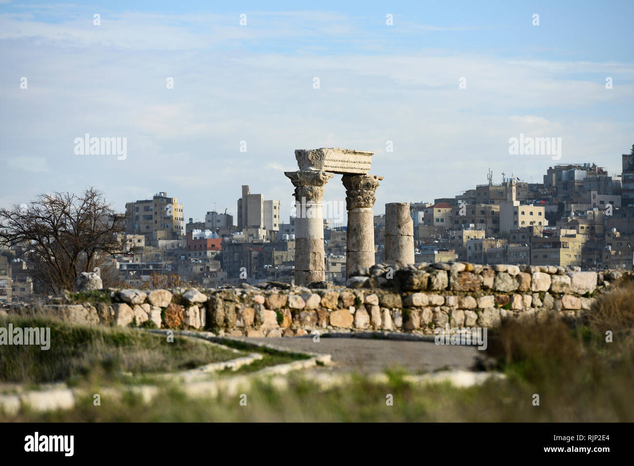 Tolle Aussicht auf einige herrliche Spalten in der Zitadelle von Amman, Jordanien. Die Zitadelle von Amman ist ein historischer Ort im Zentrum der Innenstadt von Amman, Jordanien. Stockfoto