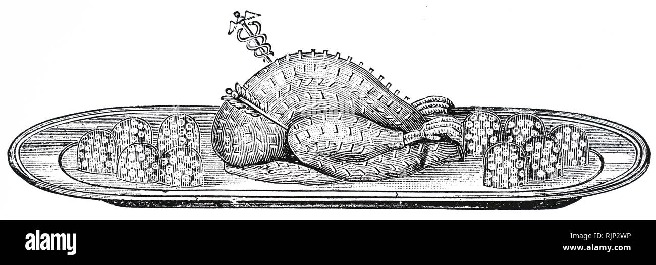 Ein kupferstich mit der Darstellung eines wunderbar zubereitet die Türkei für den Tisch bereit. Vom 19. Jahrhundert Stockfoto