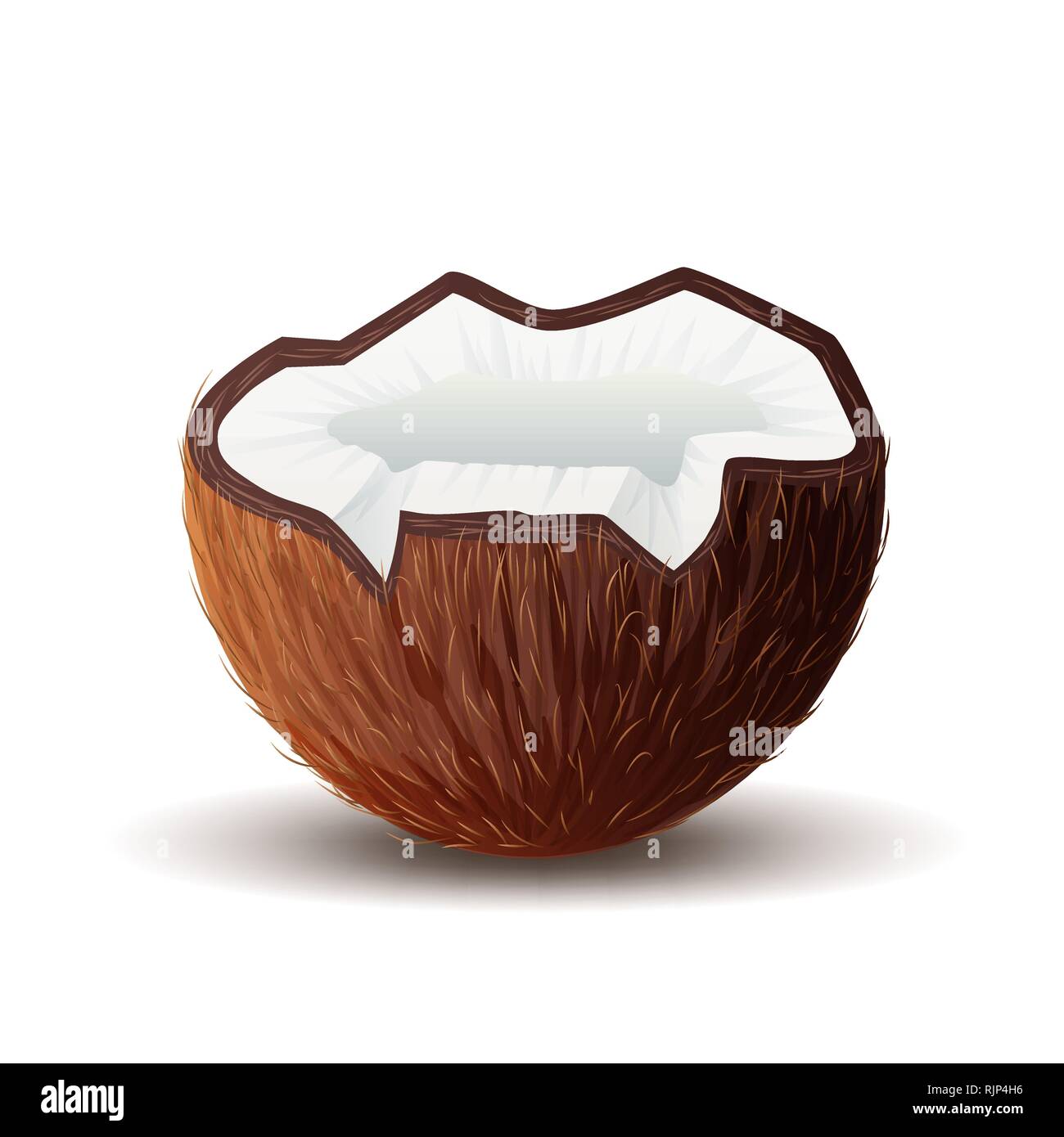 Coconut Symbol, gebrochene Coconut in Weiß isoliert Stock Vektor