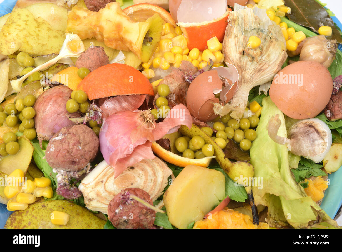 Recycling für Kompost Obst, Gemüse und Ei Stockfoto