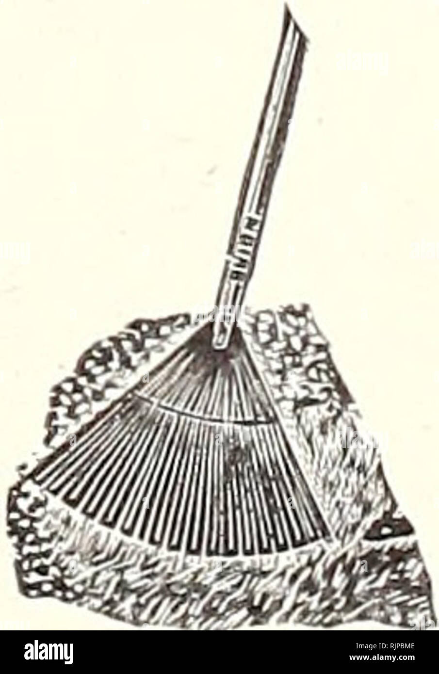 . Herbst: 1946. Gartengeräte und Zubehör Kataloge Kataloge; Samen; Glühlampen (Pflanzen) Kataloge; Blumen; Frucht Samen Samen Kataloge Kataloge. Celex Garten Etiketten Wetterfest wird für die letzten Jahre. 3 x 2 Zoll - wird mit gewöhnlichen schwarzen Stift mark-Cil. Schreiben möglicherweise gelöscht und Etiketten von Jahr zu Jahr verwendet werden. Mit Kupfer Kabel geliefert. Preis, 25 c pro Doz. Dibber oder Dibble Messing, die beste helle, funktioniert einfach und wird nicht rosten. Griff aus Holz. $ 1,50. Transport bezahlt. Dibber Anlage Trendsetter und Glühlampe Pflanzmaschine werden gefunden, die sehr effizient für die Anpflanzung von allen Arten von kleinen Pflanzen und Blumenzwiebeln. Stockfoto