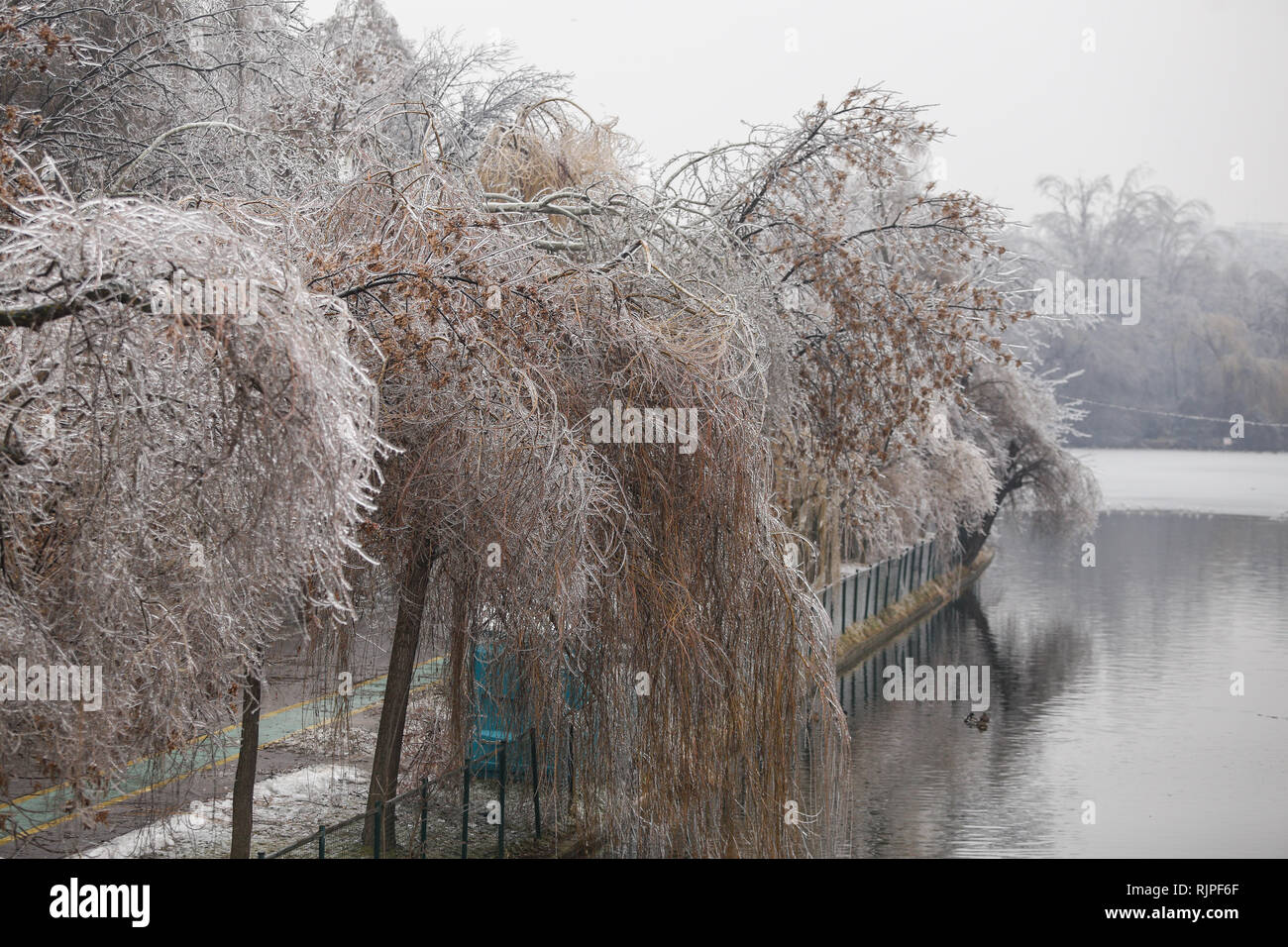 Gefrorene Park im Winter nach einem Regen wetter Phänomen Stockfoto