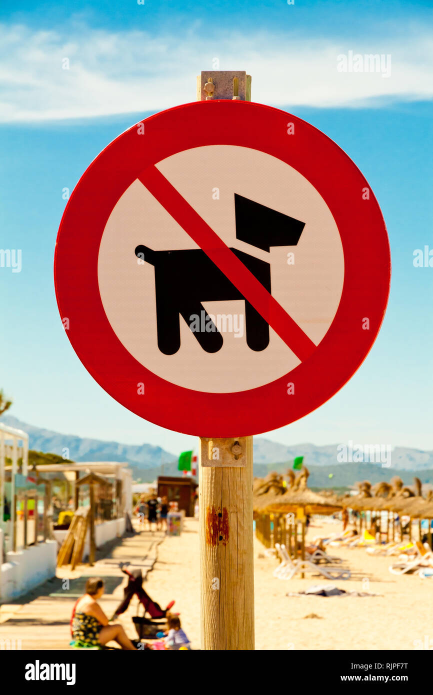 Hunde sind nicht erlaubt Stockfoto