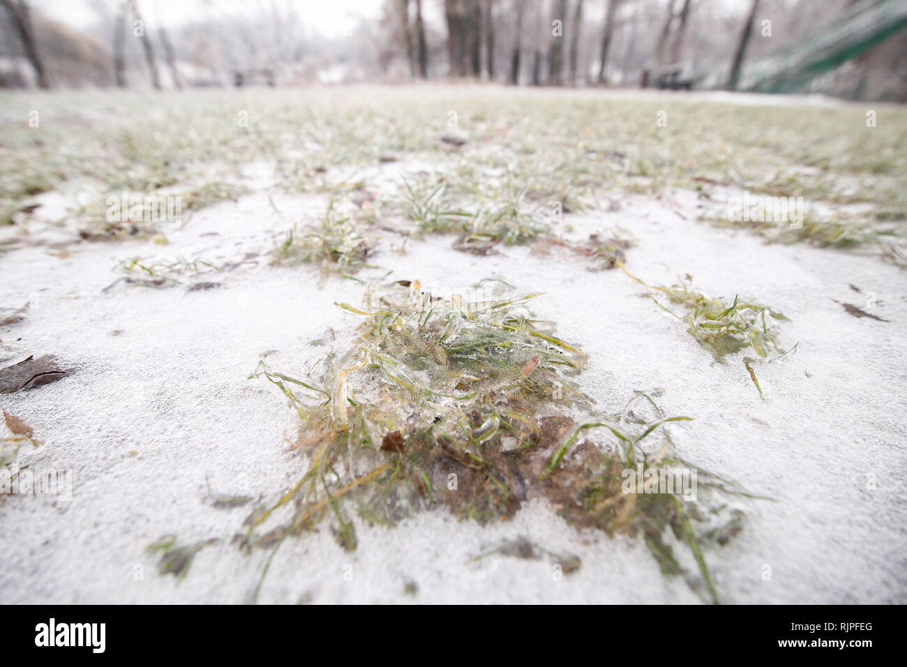 Gefrorenen Boden und Vegetation im Winter nach einem Regen wetter Phänomen Stockfoto