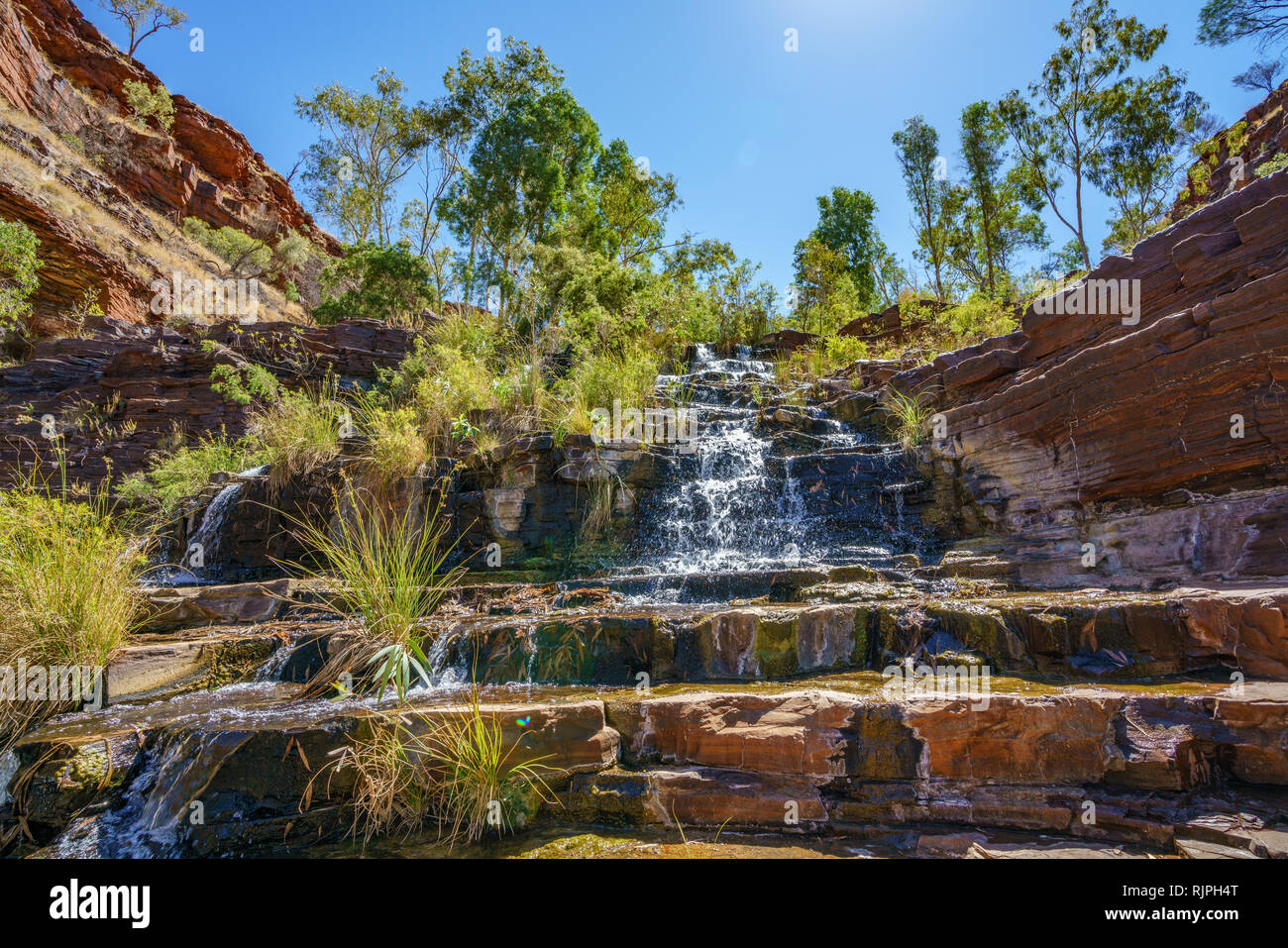 Wandern fortescue fällt in Dales Gorge Karijini National Park, Western Australia Stockfoto