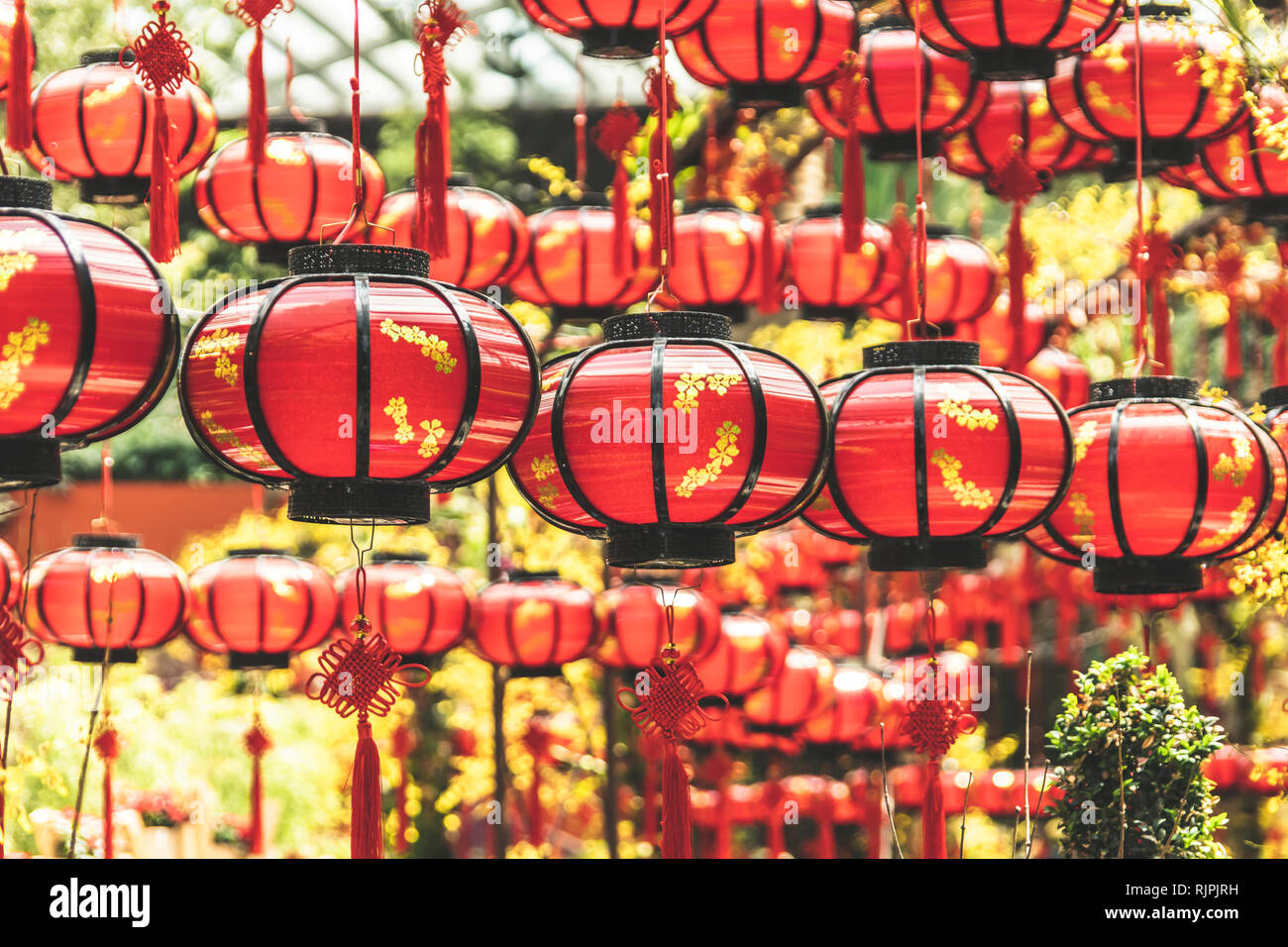 Chinesische Mondjahr rote Laterne Dekorationen 2019 Stockfoto