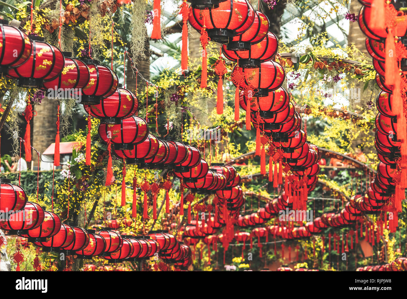 Chinesische Mondjahr rote Laterne Dekorationen 2019 Stockfoto