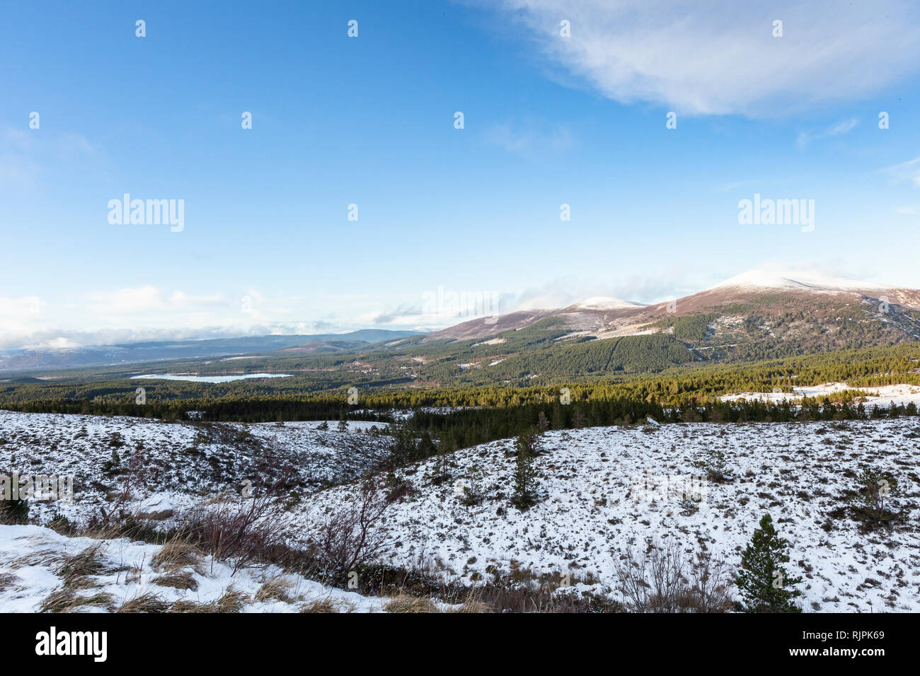 Blick über Glen Mehr im Cairngorms Nationalpark von Schottland. Stockfoto