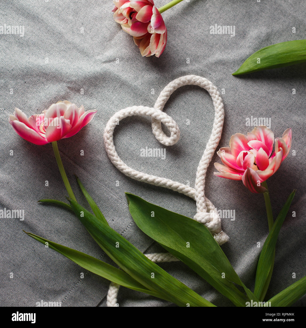 Herzen von Seil und Blumenstrauß aus Tulpen auf grauem Hintergrund mit Platz für Text Stockfoto