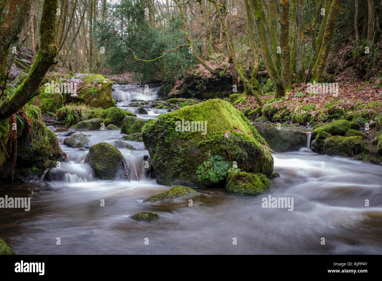 Goit Lager fällt, Harden, Bradford, West Yorkshire, UK Stockfoto