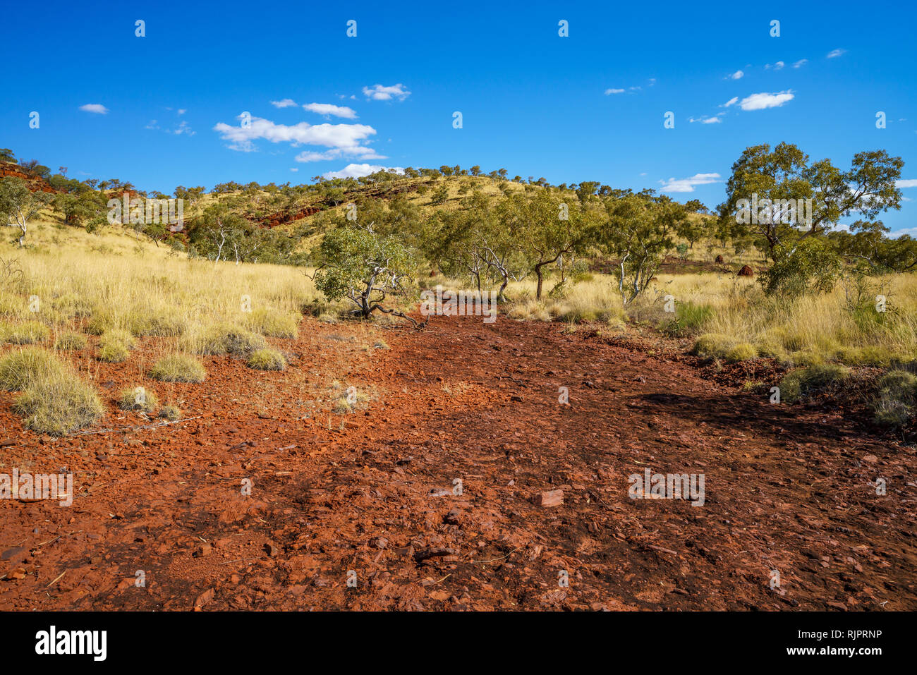 Wandern in der Wüste Schlucht Aussichtspunkt in Karijini National Park zu joffre, Western Australia Stockfoto