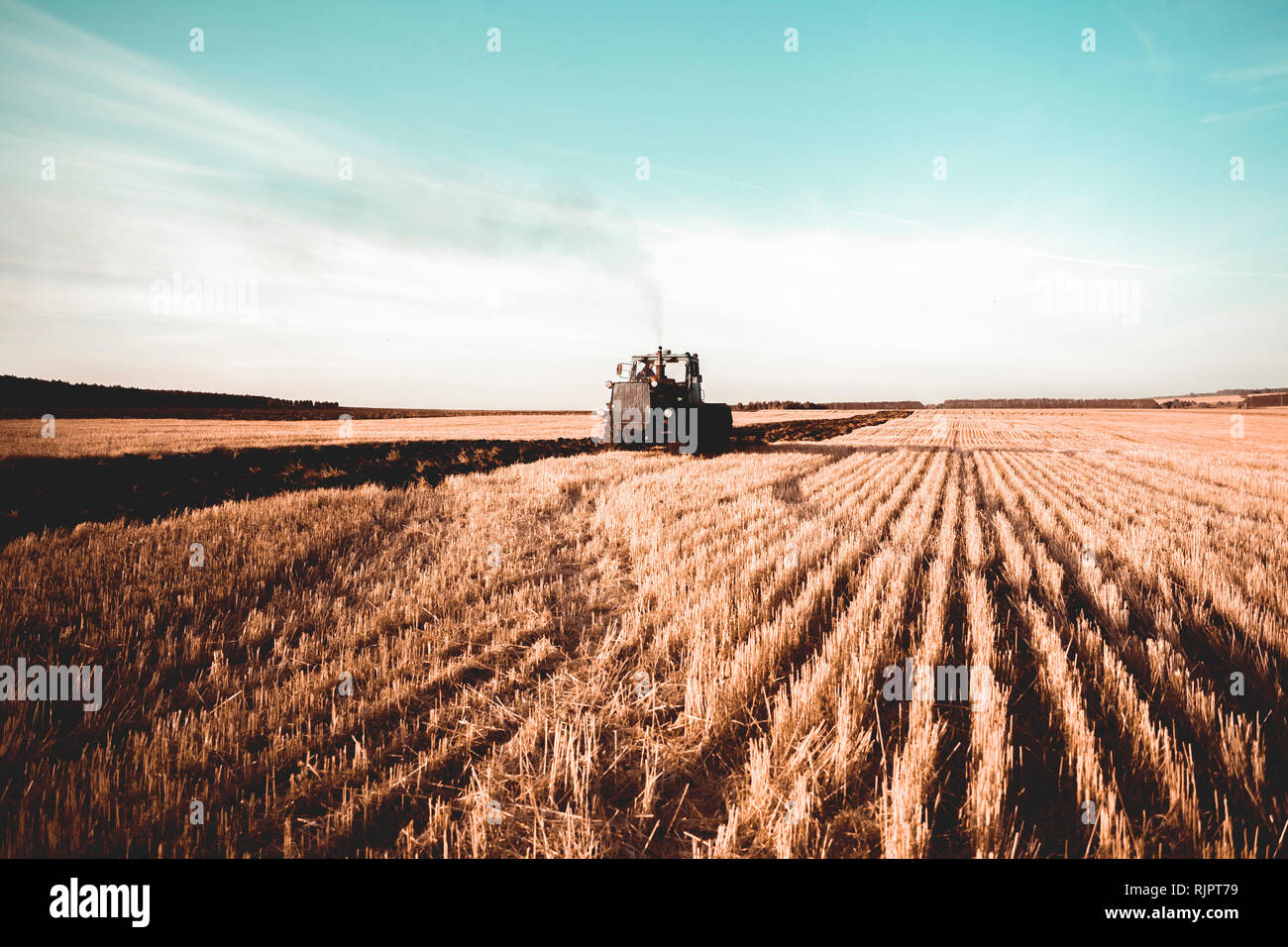 Feld Landschaft der geernteten Weizen Feld durch Traktor gesteckt werden Stockfoto