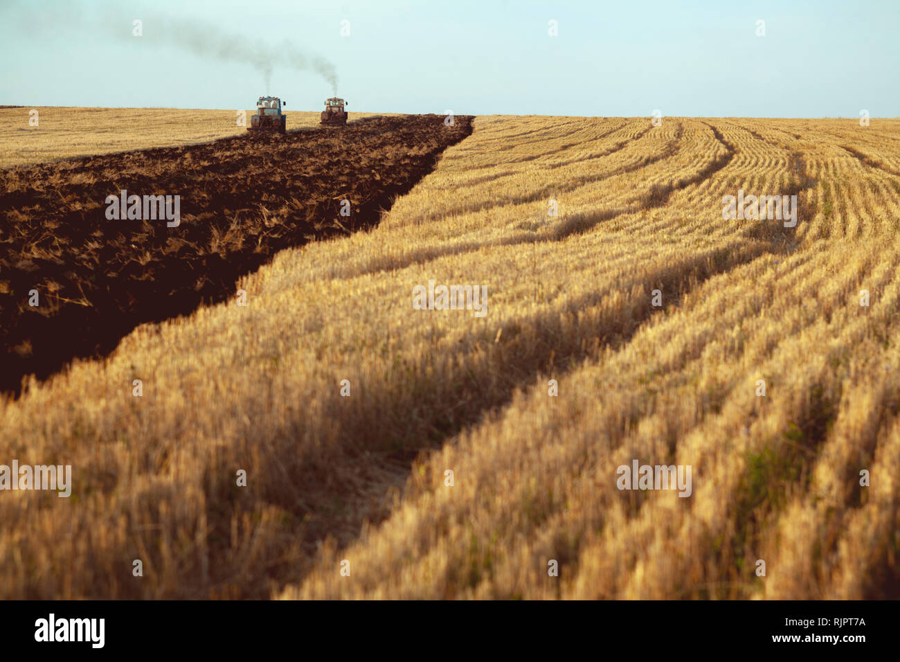 Feld Landschaft der geernteten Weizen Feld durch Traktoren gesteckt werden Stockfoto