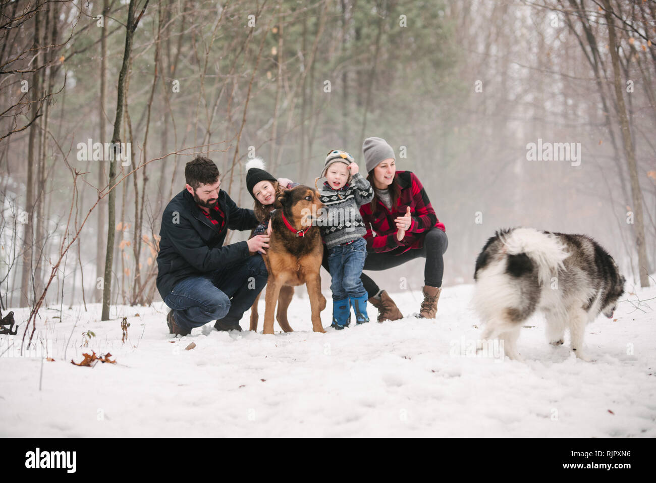 Familie mit Hunden auf Spaziergang im Schnee Landschaft Stockfoto