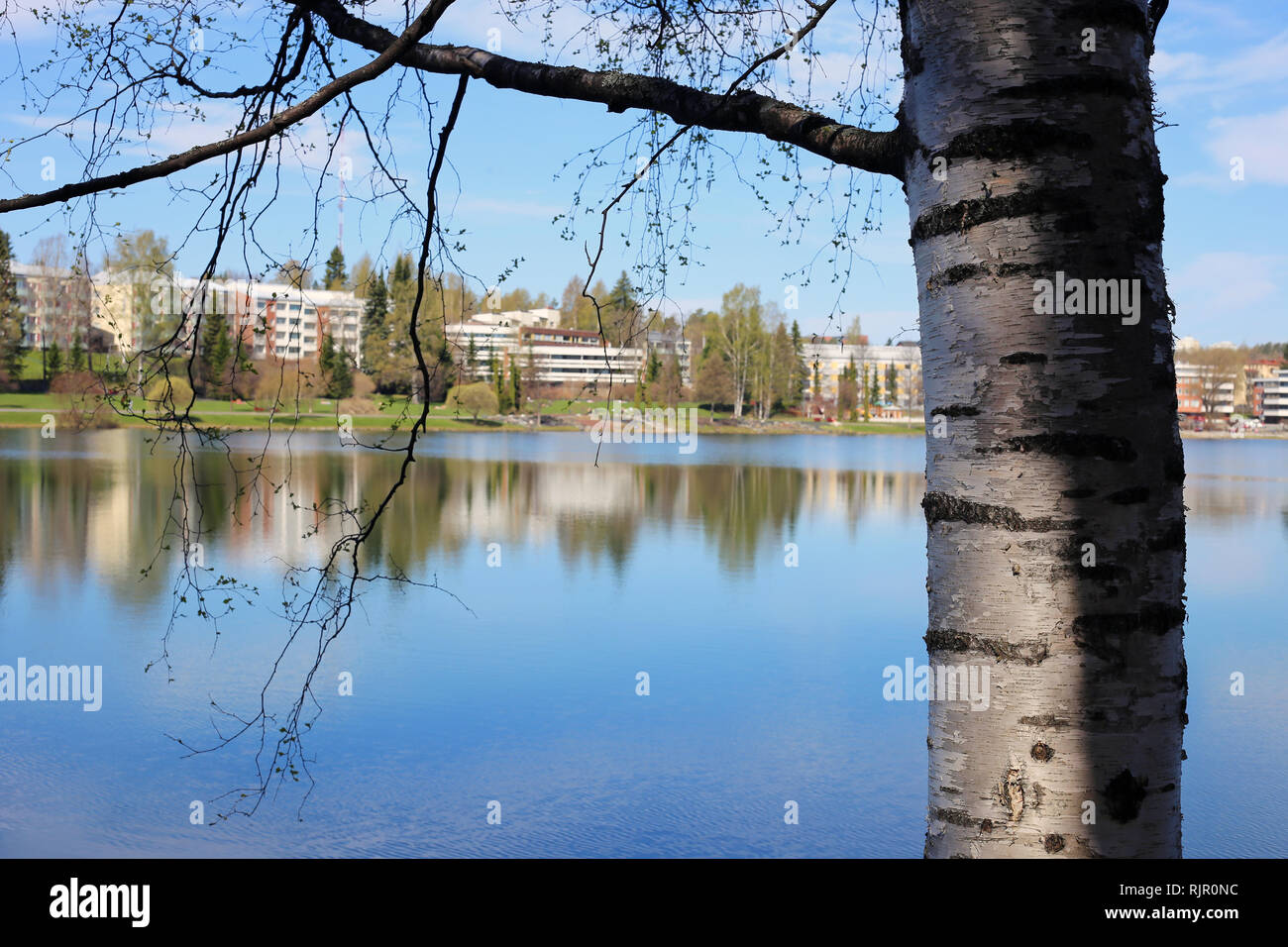 Eine Nahaufnahme der finnischen Natur im Frühling. Schönen Baum und seine Äste vor einem ruhigen See mit schönen Reflexionen fotografiert. Stockfoto