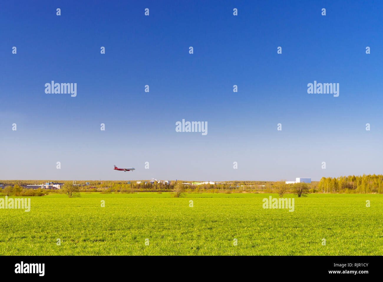 Passagierflugzeug landet auf Start- und Landebahn am Flughafen Pulkowo. Jets am Himmel über dem Feld. Passagier- und Frachtverkehr auf den großen internationalen Flughafen von St. Petersburg, Russland Stockfoto