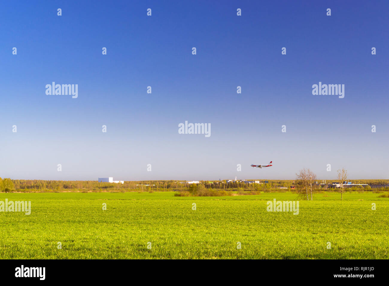 Passagierflugzeug landet auf Start- und Landebahn am Flughafen Pulkowo. Jets am Himmel über dem Feld. Passagier- und Frachtverkehr auf den großen internationalen Flughafen von St. Petersburg, Russland Stockfoto