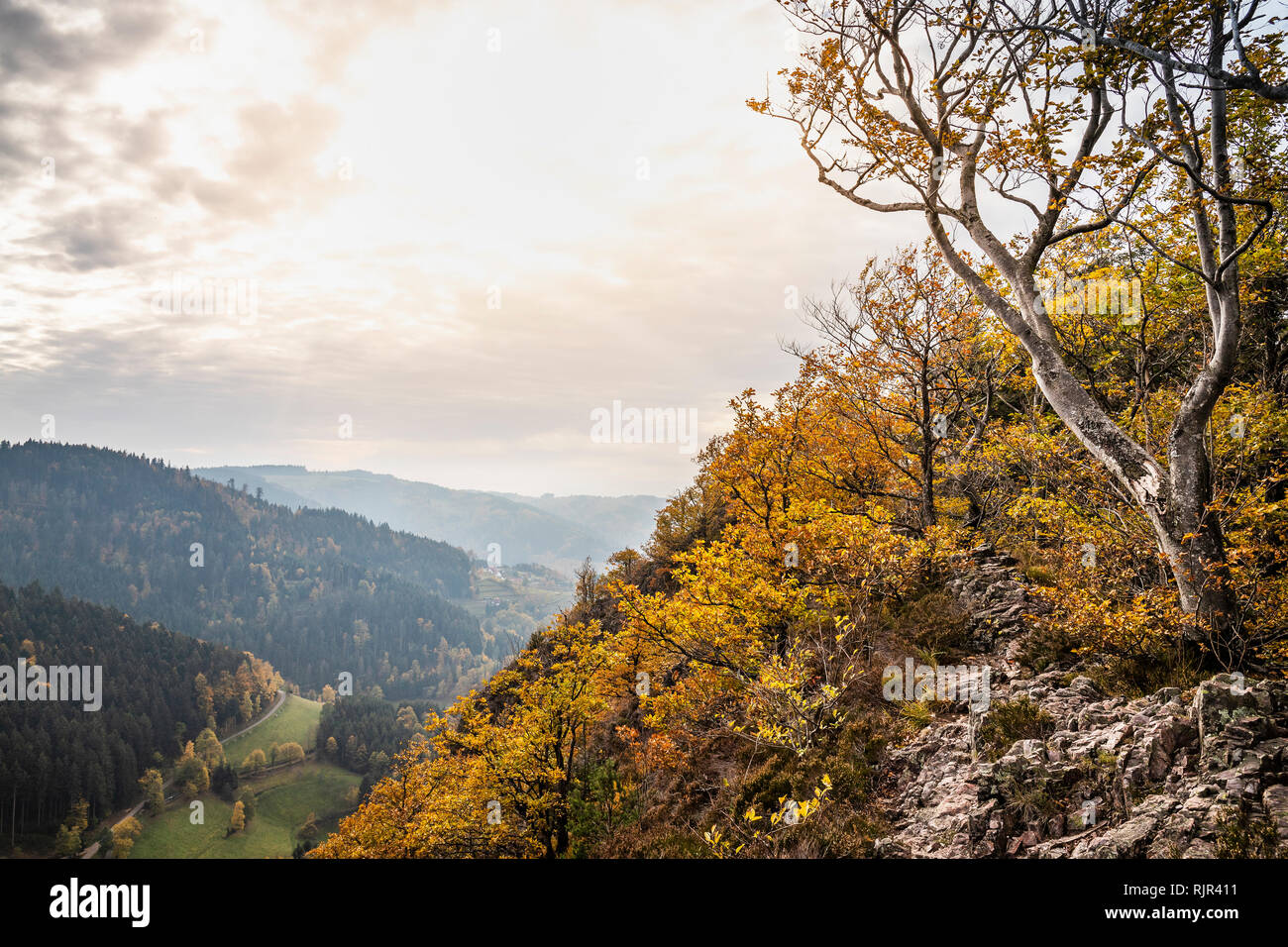 Blick von der Karlsruher Grat (Ridge), Schwarzwald Ottenhofen im Schwarzwald, Baden-Württemberg Stockfoto