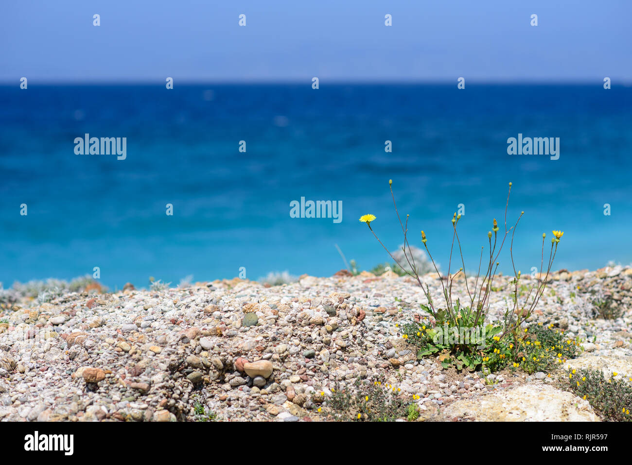 Blick von der Klippe zu Mittelmeer auf der felsigen Insel Rhodos, Griechenland Stockfoto