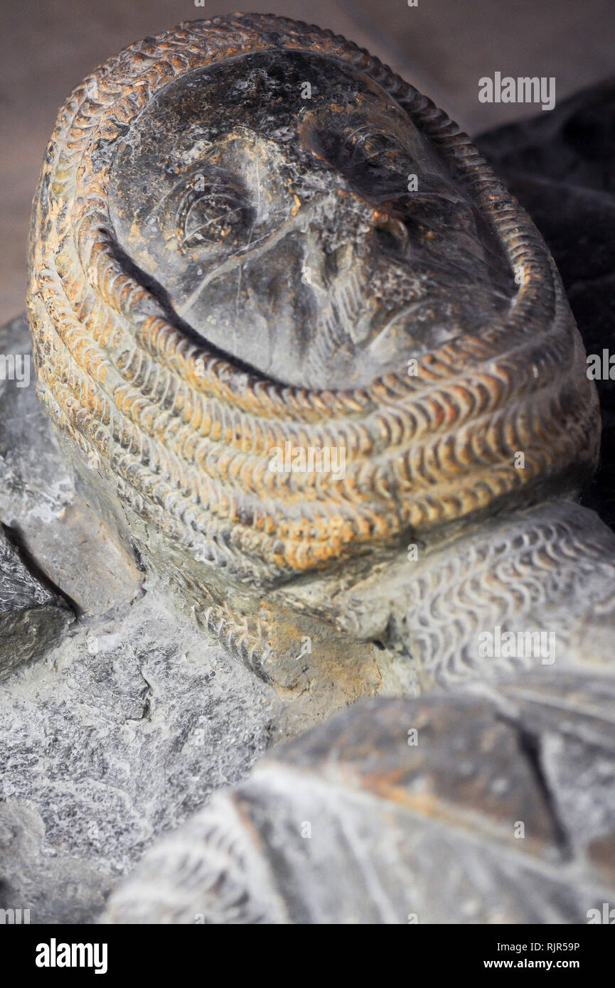 William Marshal, 1st Earl of Pembroke Bildnis im romanischen Tempel Kirche Erbaut 1185 durch Ritter Templer von Dan Brown's 2003 meistverkauften Roman Stockfoto