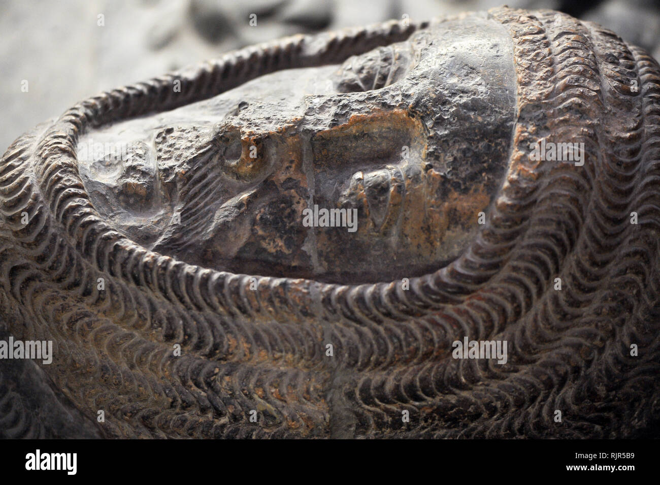 William Marshal, 1st Earl of Pembroke Bildnis im romanischen Tempel Kirche Erbaut 1185 durch Ritter Templer von Dan Brown's 2003 meistverkauften Roman Stockfoto
