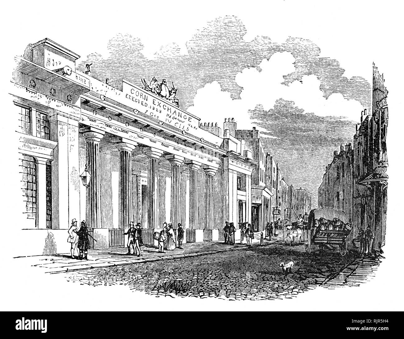 Der London Corn Exchange wurde von George Tanz der Ältere im klassischen Stil, die um einen Innenhof, wo Mais Händler treffen könnte und Preise mit den Landwirten für den Verkauf von Weizen, Gerste und Mais ordnen Sie konzipiert. Im Jahre 1826 war ein Rivale Austausch von einer Gruppe von unzufriedenen Händler (der London Corn Exchange), die Ihre 'neue' Exchange eingerichtet, die in Mark Lane, unmittelbar neben den "alten" austauschen. Es wurde entworfen, im griechischen Stil, von George Smith und im Jahre 1828 eröffnet. Im Jahre 1882, die "Alten" wurde weitgehend abgerissen und durch ein weit größeres Gebäude (entworfen von Edward ersetzt Stockfoto