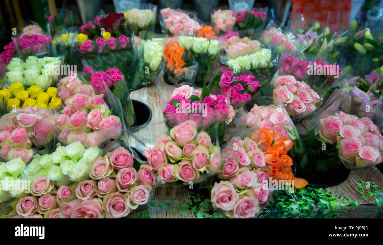 Panoramicansicht von Rosenbüscheln in einer breiten Farbpalette, rosa, rot, weiß und gelb, an einem Blumenmarktstand Stockfoto