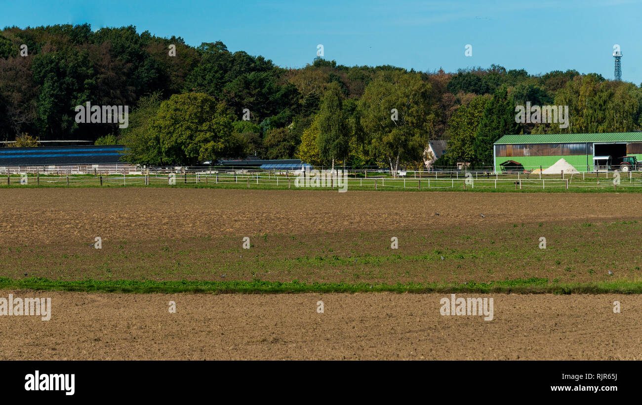 Ackerland Landschaft in Europa Stockfoto