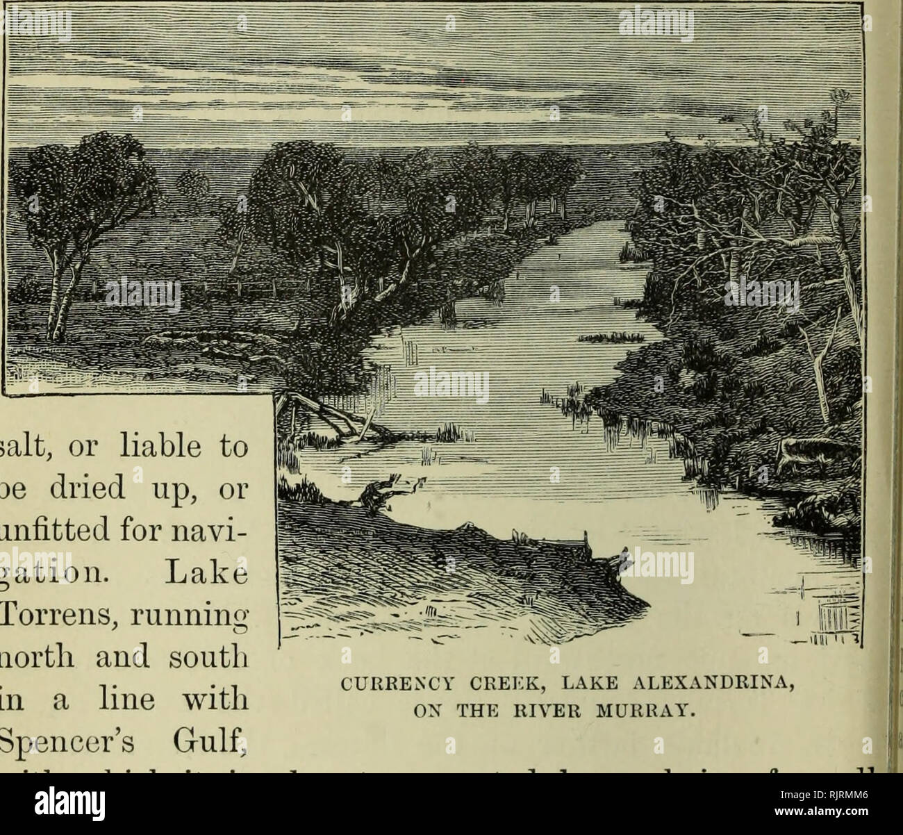 . Australien und Neuseeland. Natural History; Natural History. 306 KOMPENDIUM DER GEOGRAPHIE UND TKAVEL der südliche Teil der Kolonie, es gibt keine Flüsse von Bedeutung in Südaustralien; die Gawler, Torrens, und andere Ströme, die in St. Vincent's Golf fließen sehr unbedeutend, und fast oder ganz trocken für einen großen Teil des Jahres. Keiner der australischen Kolonien haben so viele große Seen wie South Australia; aber leider keines dieser scheinen berechnet das Land zu nutzen, entweder. Währung CREKK, Lake Alexandrina, AUF DEM FLUSS MURRAY. Salz, oder haftet er getrocknet werden. Stockfoto