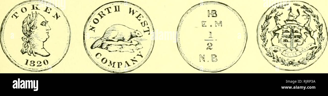 . Aus dem Reiche der Pelze. bd. I: des rauchwarenhandels. bd. II: Naturgeschichte der Pelztiere. Pelztiere; Pelzhandel. (Kapitcl Anicrika). Mit der Aufhebung der dcs Pelzhandclsmonopols 1863 anderte sich allmahlich sterben Kunst und Wcisc des Handclsbetriebes. Lange Zcit sicherte Sterben grossartige Organsiation, namentlich des Transportdienstes und sterben Schwicrigkeit fiir zahlr Handler sich den nStigen Proviant usw. im InniTn zu beschaffen, der Hudsonsbay Company einen gewaltigen "orsprung. Nur in der kiiste oder ou leicht zuganglichen Stellen erhielt sie kahle Konkurrenz und muss Stockfoto