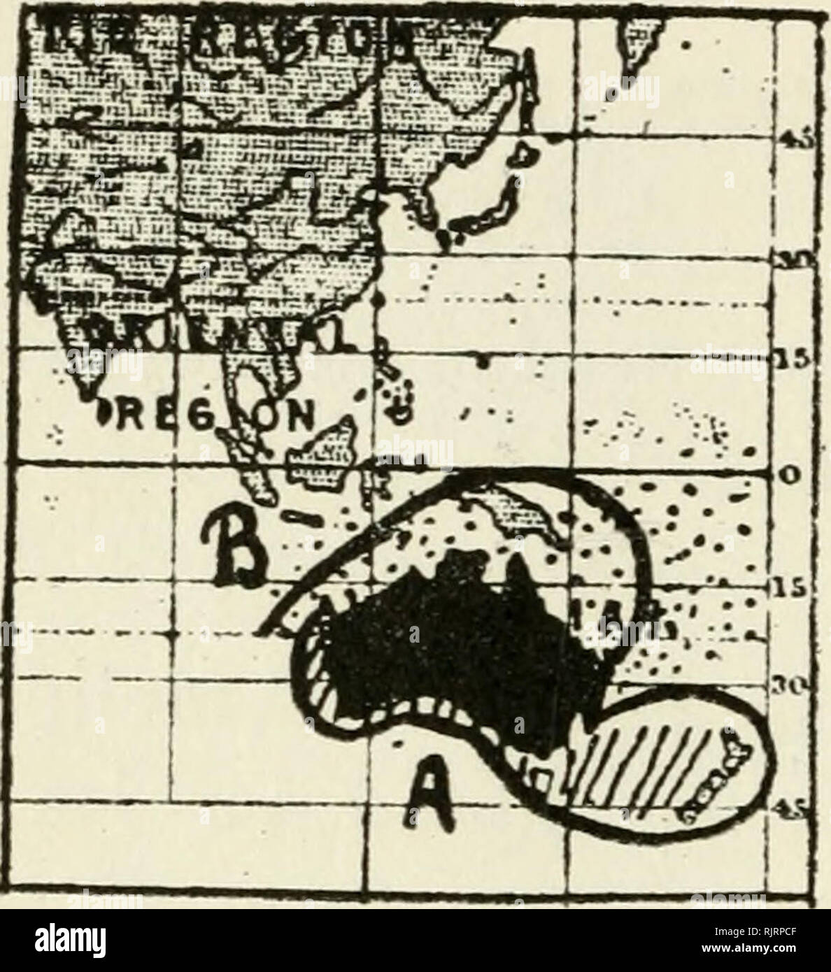 . Australische vogel Karten. Vögel - Australien. 62 australische VOGEL KARTEN. Karte 27 Tölpel in australischen Gewässern. Ein - Die australische Gannett (Sula serrator). B-äquatorialen Basstölpel. Sula leucogaster Braun Gannet. S. sula Red-legged Gannet. S. dactylatra Maskierte Gannett.. Bitte beachten Sie, dass diese Bilder sind von der gescannten Seite Bilder, die digital für die Lesbarkeit verbessert haben mögen - Färbung und Aussehen dieser Abbildungen können nicht perfekt dem Original ähneln. extrahiert. Hall, Robert, 1867-1949. Hobart, Australien: Hall Stockfoto