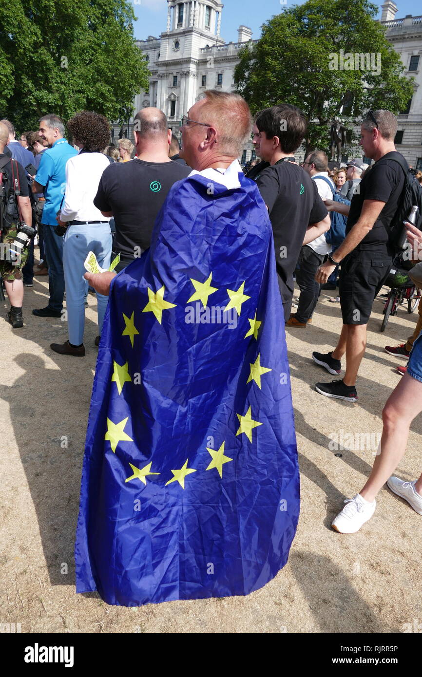 Anti-Brexit Demonstrant in EU-Flagge gewickelt; London, England 2018 Stockfoto