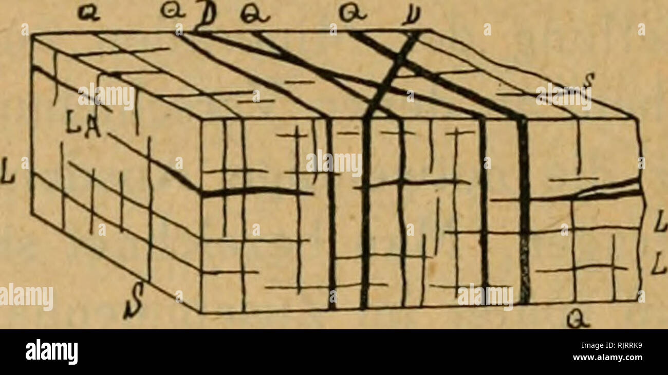 . Aus Natur und Museum. Natural History. 108 als dritte Dimensionale ebenso wenig entbehrt werden kann, wie im Steinbruch als dritte Richtung bin zuzuhauenden Quader, Man ist übereingekommen, die quer zum tangentialen Druck stehende Fläche bester Teilbarkeit mit s (spaltfläche), senkrecht zum Belastungsdruck stehende mit 1 (Lager) und schwerster Teil-barkeit mit k (Kopfseite) zu bezeichnen (Abb. 1), durch die rich - tungen s, 1 und k ist jedes Granitstück eine seinem Platz eindeutig orientiert. Je nachdem Ein einem Punkt der tangentiale oder der vertikale Druck stärker Krieg, Sindh sterben s-ode Stockfoto