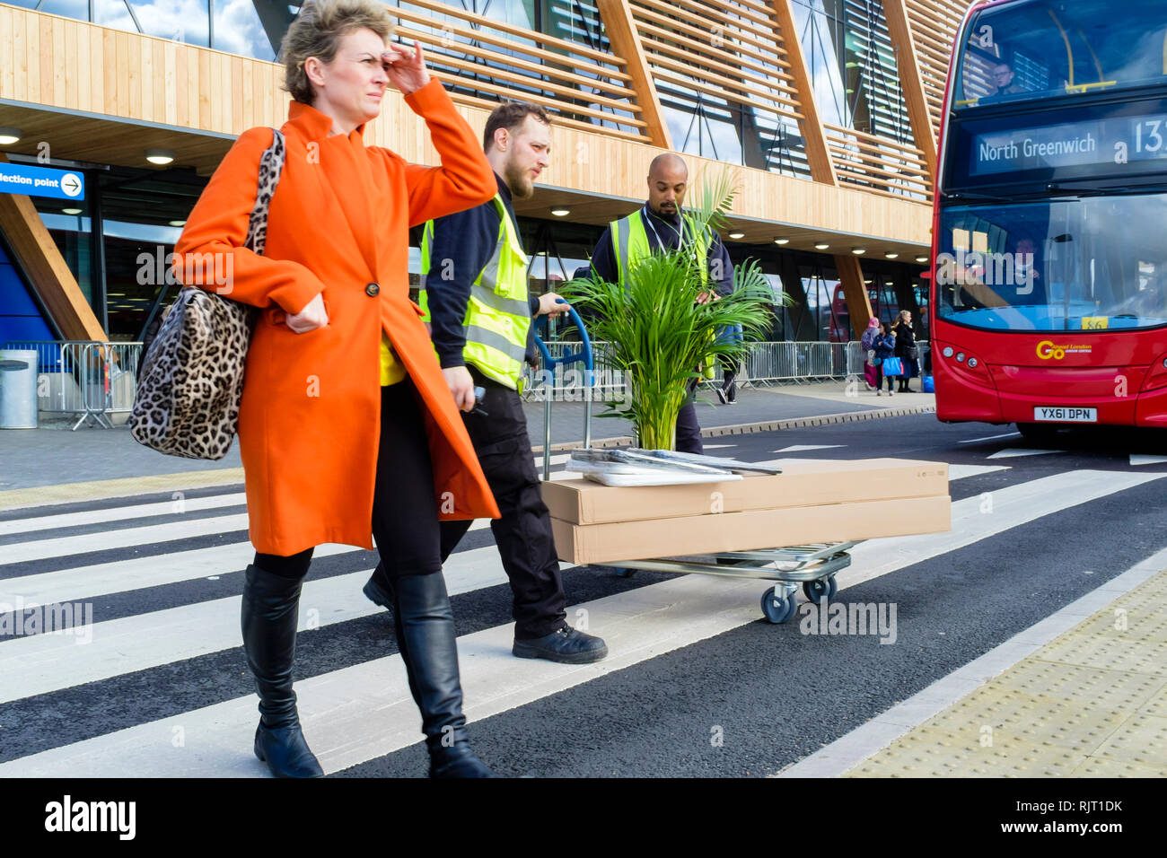 London, Großbritannien. 7. Februar 2019. Schwedische Möbel und Haushaltsgegenstände IKEA seinen neuen Store in Greenwich, South East London wird geöffnet. Die neue Filiale wird die vierte im Raum London eröffnet und es wird behauptet, dass die ökologisch nachhaltige von Verkaufsstellen des Unternehmens in Großbritannien zu werden. Im Bild: IKEA Zimmerpflanzen beweisen, beliebt bei Käufern am ersten Tag der Eröffnung. Credit: Mark Phillips/Alamy leben Nachrichten Stockfoto