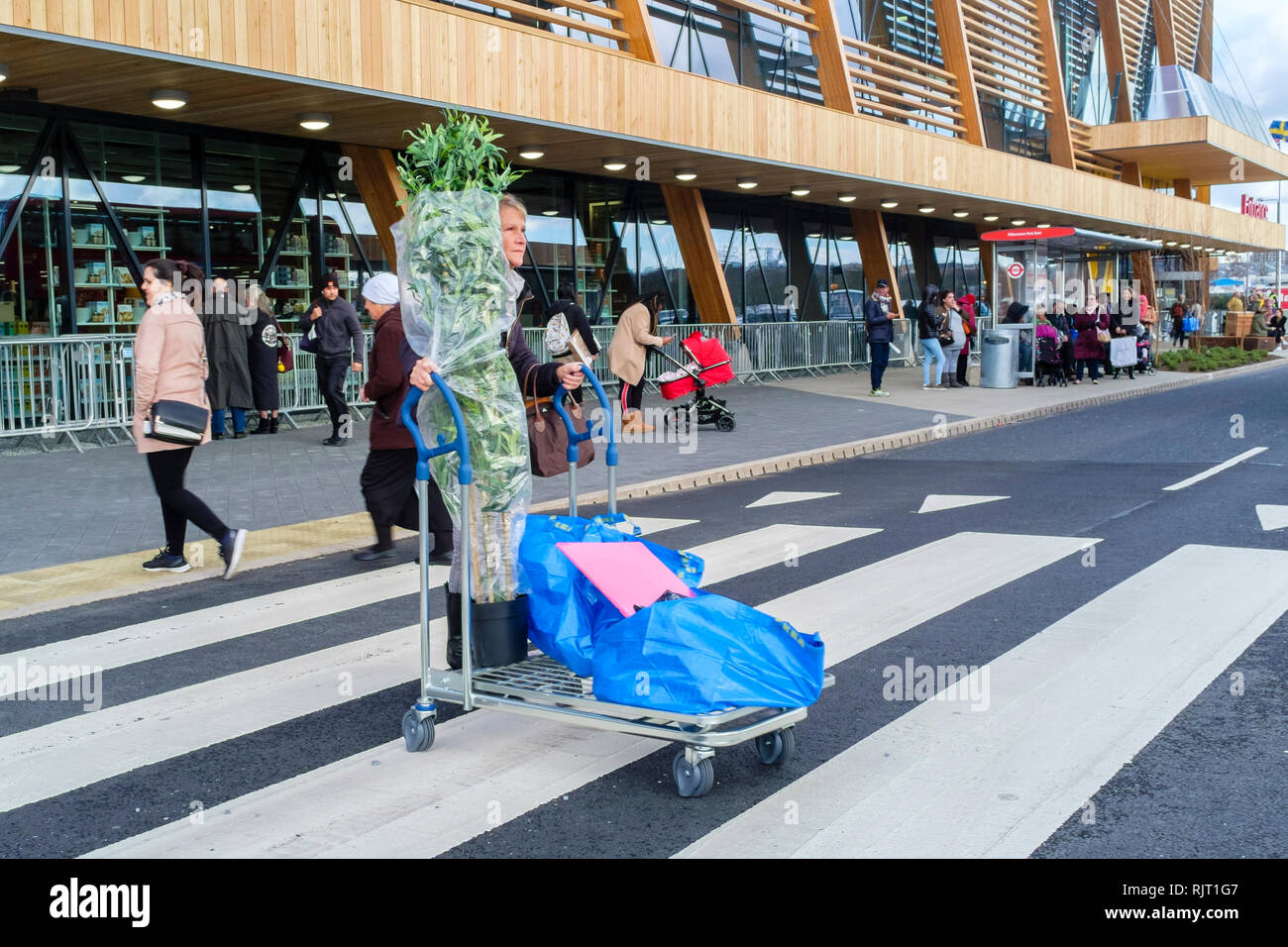 London, Großbritannien. 7. Februar 2019. Schwedische Möbel und Haushaltsgegenstände IKEA seinen neuen Store in Greenwich, South East London wird geöffnet. Die neue Filiale wird die vierte im Raum London eröffnet und es wird behauptet, dass die ökologisch nachhaltige von Verkaufsstellen des Unternehmens in Großbritannien zu werden. Im Bild: IKEA Zimmerpflanzen beweisen, beliebt bei Käufern am ersten Tag der Eröffnung. Credit: Mark Phillips/Alamy leben Nachrichten Stockfoto