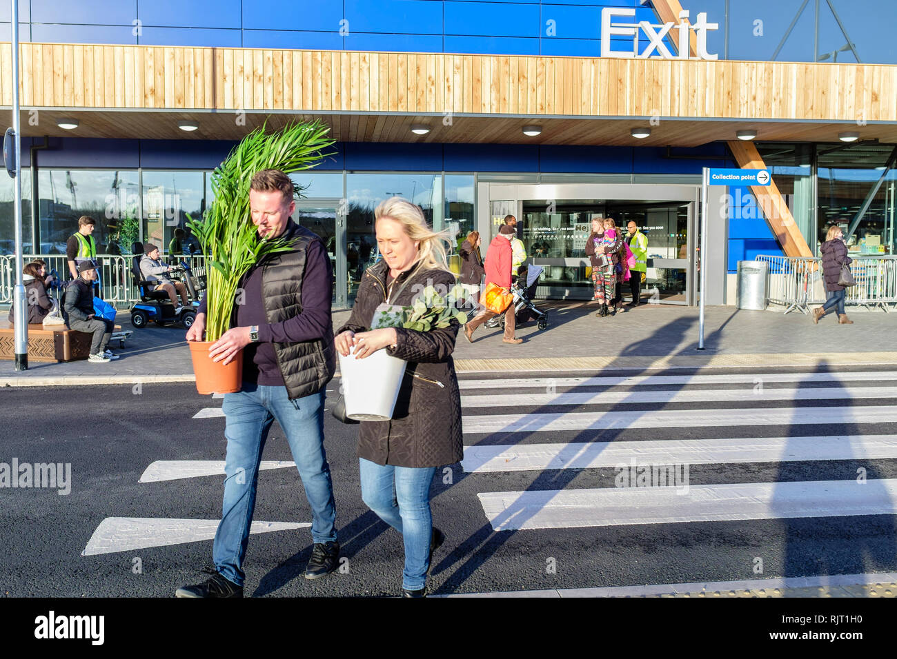 London, Großbritannien. 7. Februar 2019. Schwedische Möbel und Haushaltsgegenstände IKEA seinen neuen Store in Greenwich, South East London wird geöffnet. Die neue Filiale wird die vierte im Raum London eröffnet und es wird behauptet, dass die ökologisch nachhaltige von Verkaufsstellen des Unternehmens in Großbritannien zu werden. Im Bild: IKEA Zimmerpflanzen beweisen, beliebt bei Käufern am ersten Tag der Eröffnung. Credit: Mark Phillips/Alamy leben Nachrichten Stockfoto