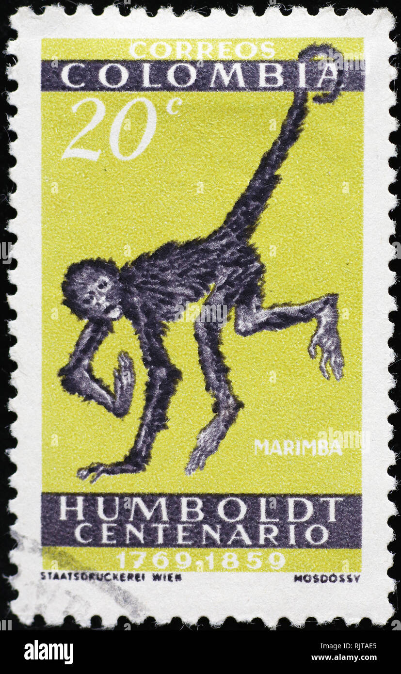 Spider monkey für kolumbianische Briefmarke Stockfoto