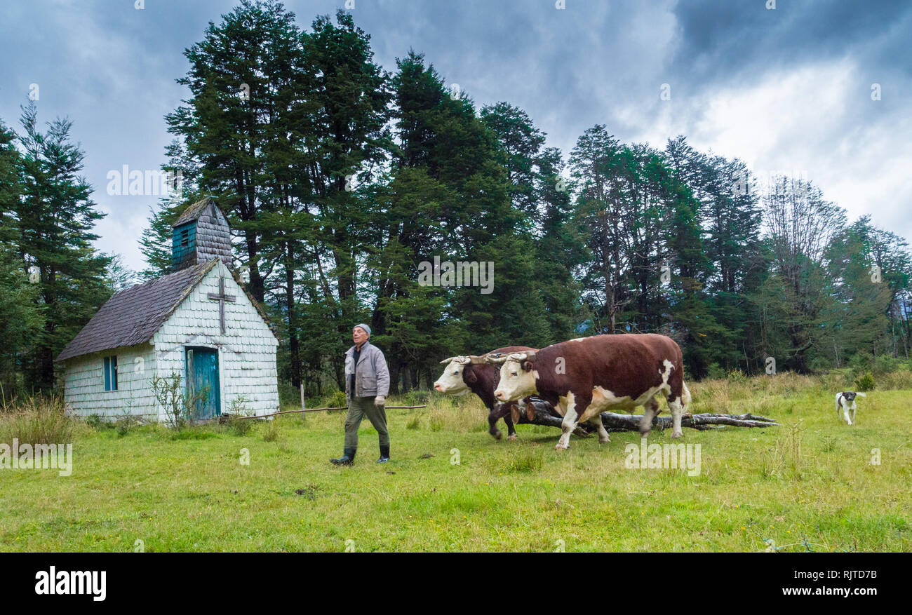 Alte Zeit Landwirtschaft in Patagonien Stockfoto