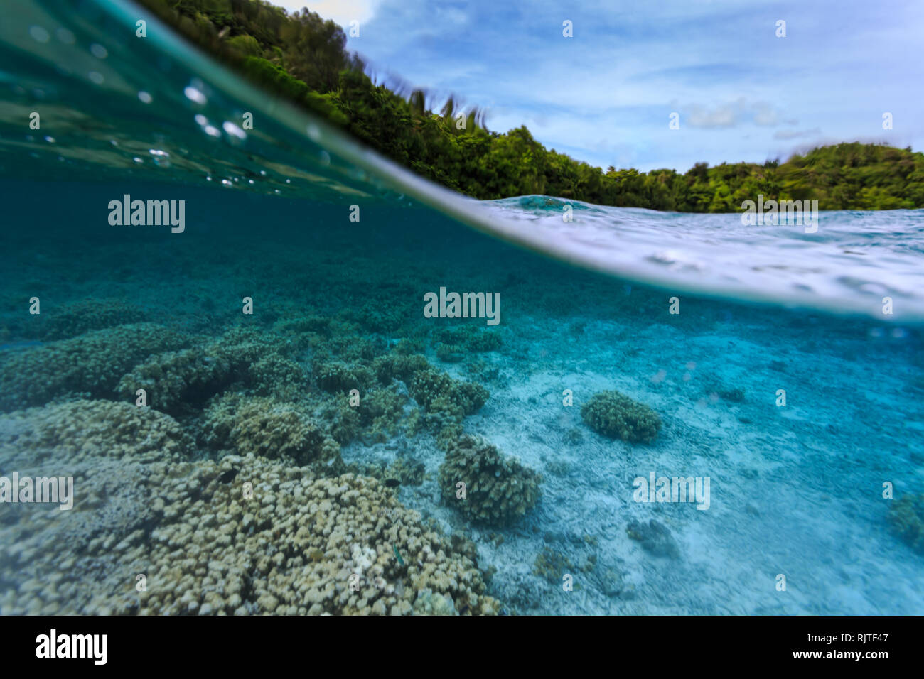 Über und unter Wasser Schuss von Korallenriff und tropischer Insel Stockfoto