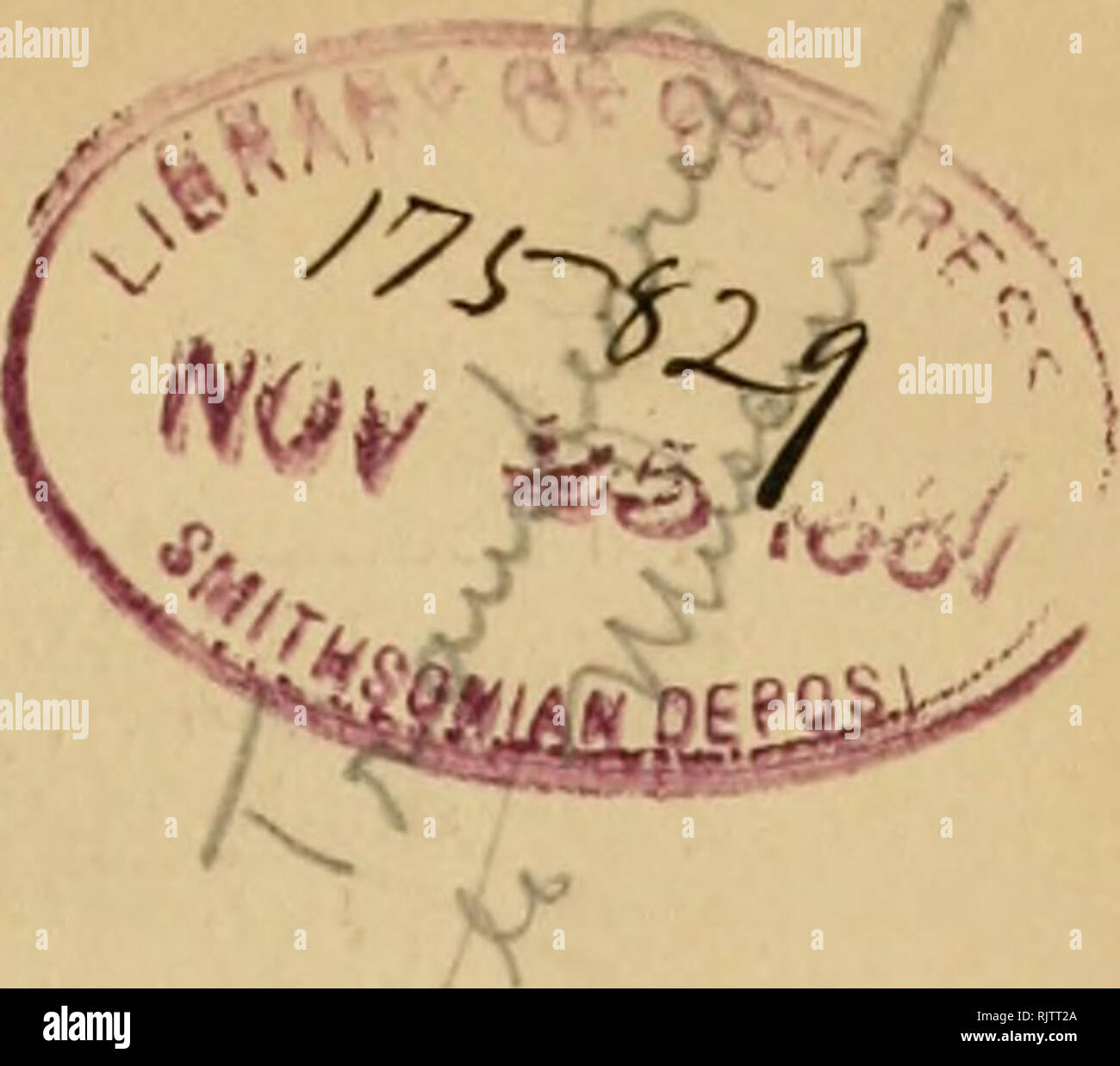 . Die auk. Vögel. INDEX ZU BAND IV. Acanthis Kabarett, 30, 31, 34, 144.. exilipes canescens, 32, 30, 32, 33, 34, 62, 63. Holboellii, 33, 34, 35, 62, 63, 30, 63 hornemanni hornemanni exilipes., 163, 164. linaria, 30, 32, 33, 34, 62, 63, 163, 164. linaria Holboellii, 12, 33, 163, 164., 33. pallescens Linaria linaria Rostrata, 163, 164. pallescens, 32, 33. Rostrata, 30, 63, 164. Rufescens, 31, 63, 144, 145. Pumila, 33. Accentor colchicus, 26 S. Accipiter atricapillus striatulus, 1 S 3. 188. cooperi, 40, 103, fringilloides, 41. fuscus, 41, 42. gundlachi mexicanus, 40., 40., 40. pileatus Velox, 42 Stockfoto