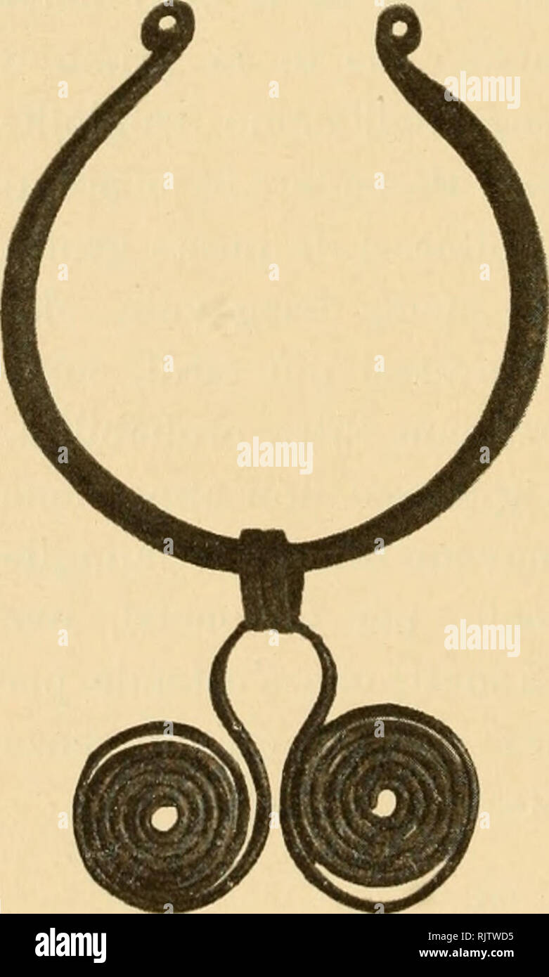 . Atti del Museo Civico di Storia Naturale di Trieste. Natural History; Natural History. 258 Nella speranza di farvi Largo bottino di stalattiti ein scopo di lucro, certo Ziberna da divaria si calÃ² nel decorso Maggio in Questa voragine e quale non fu Il suo stupore, allorchÃ © giunto in Fondo, Gli si affacciÃ² uno scheletro umano quasi totalmente ricoperto da croste stalagmiti che Ed ornato di alcuni monili di Bronzo. Evidentemente trattavasi di un individuo precipitato dall'Alto, offrendo la Fovea condizioni d'abita - bilitÃ. Avutane notizia, indussi Lo stesso Ziberna eine ridiscendervi un'alt Stockfoto