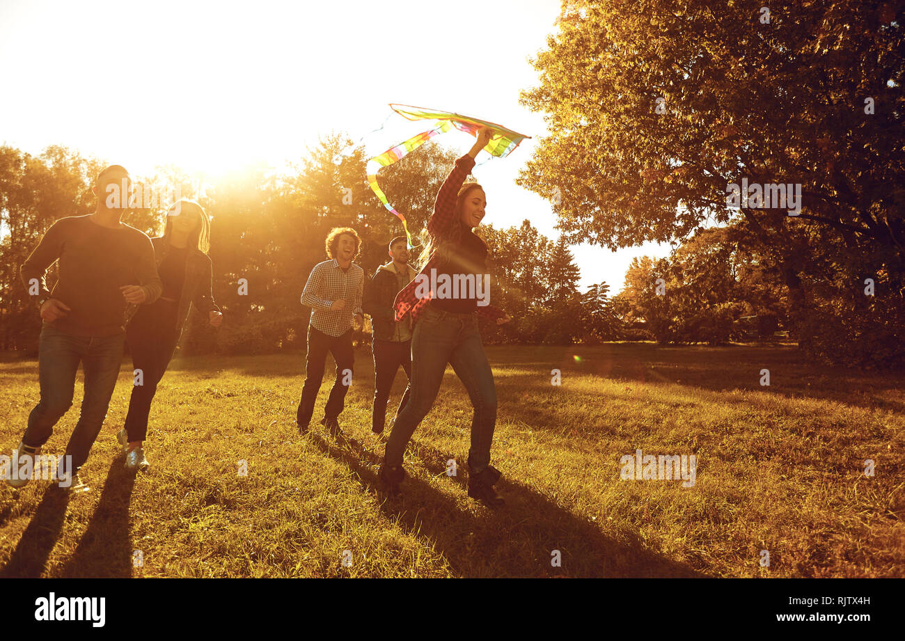 Freunde mit Kite auf sonnige Wiese Stockfoto