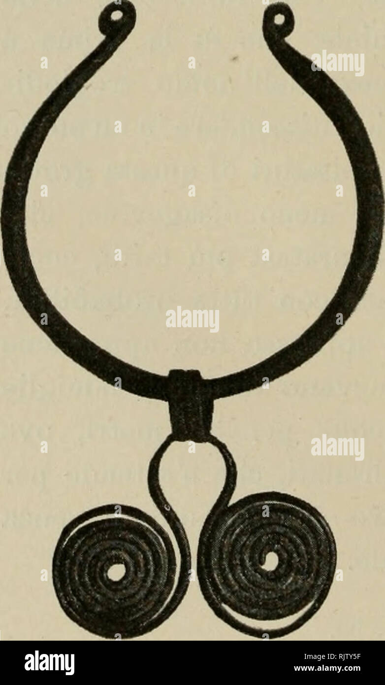 . Atti del Museo Civico di Storia Naturale di Trieste. Natural History; Natural History. 258 Nella speranza di farvi Largo bottino di stalattiti ein scopo di lucro, certo Ziberna da Divacia si calÃ² nel decorso Maggio in Questa voragine e quale non fu Il suo stupore, allorchÃ © giunto in Fondo, Gli si affacciÃ² uno scheletro umano quasi totalmente ricoperto da croste stalagmitiche Ed ornato di alcuni monili di Bronzo. Evidentemente vasi tratta di un individuo precipitato dall'Alto, offrendo la Fovea condizioni d'abita - bilitÃ. Avutane notizia, indussi Lo stesso Ziberna eine ridiscendervi un'a Stockfoto