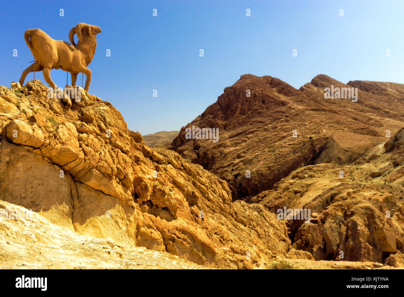 Ram-Skulptur auf einem Hügel in der Wüste in Chebika, Tunesien. Stockfoto