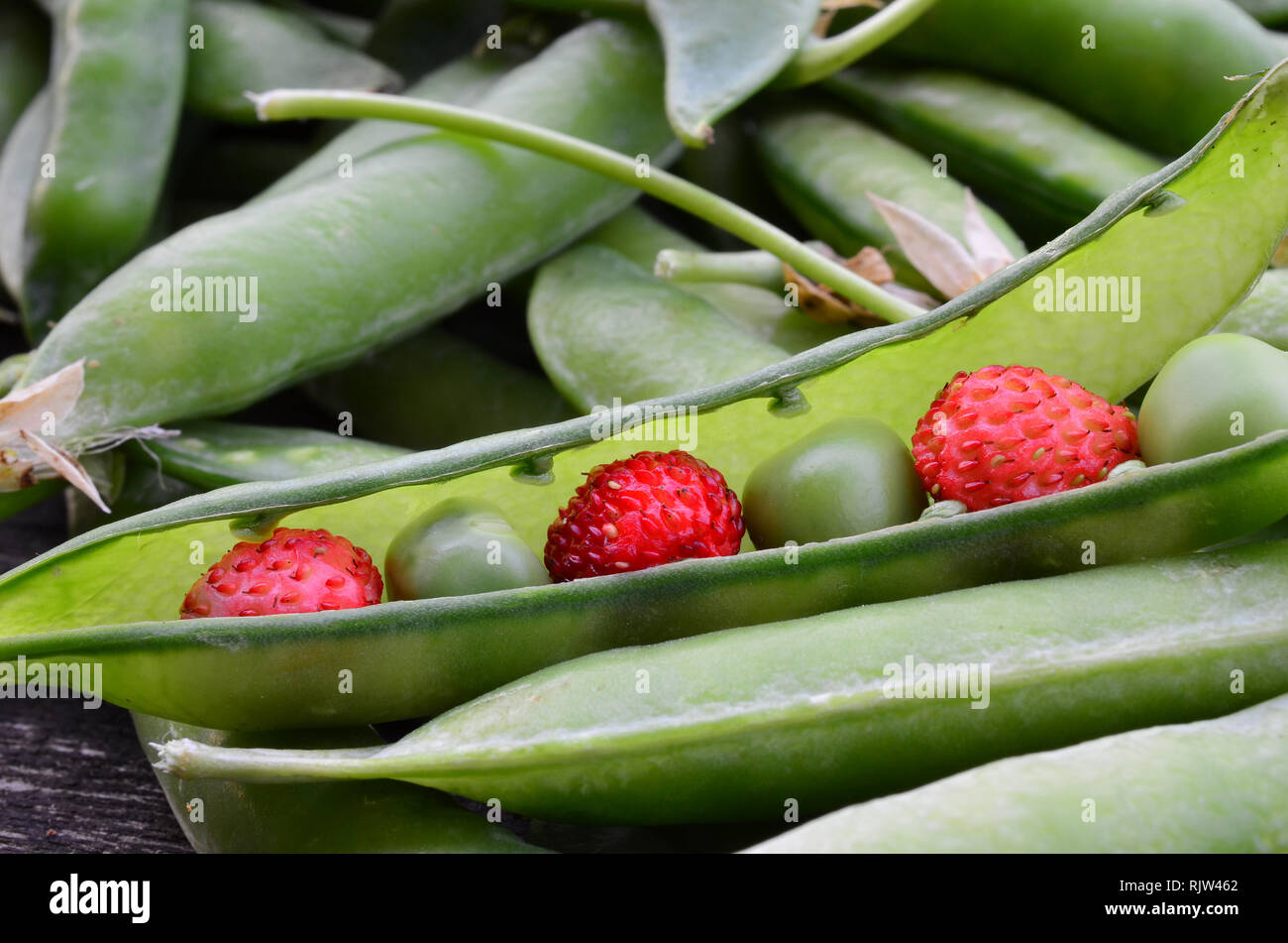 Überraschung in einem Pod-Erbsen und wilde Erdbeeren, Food Ingredients voller Vitamine und Mineralien Stockfoto