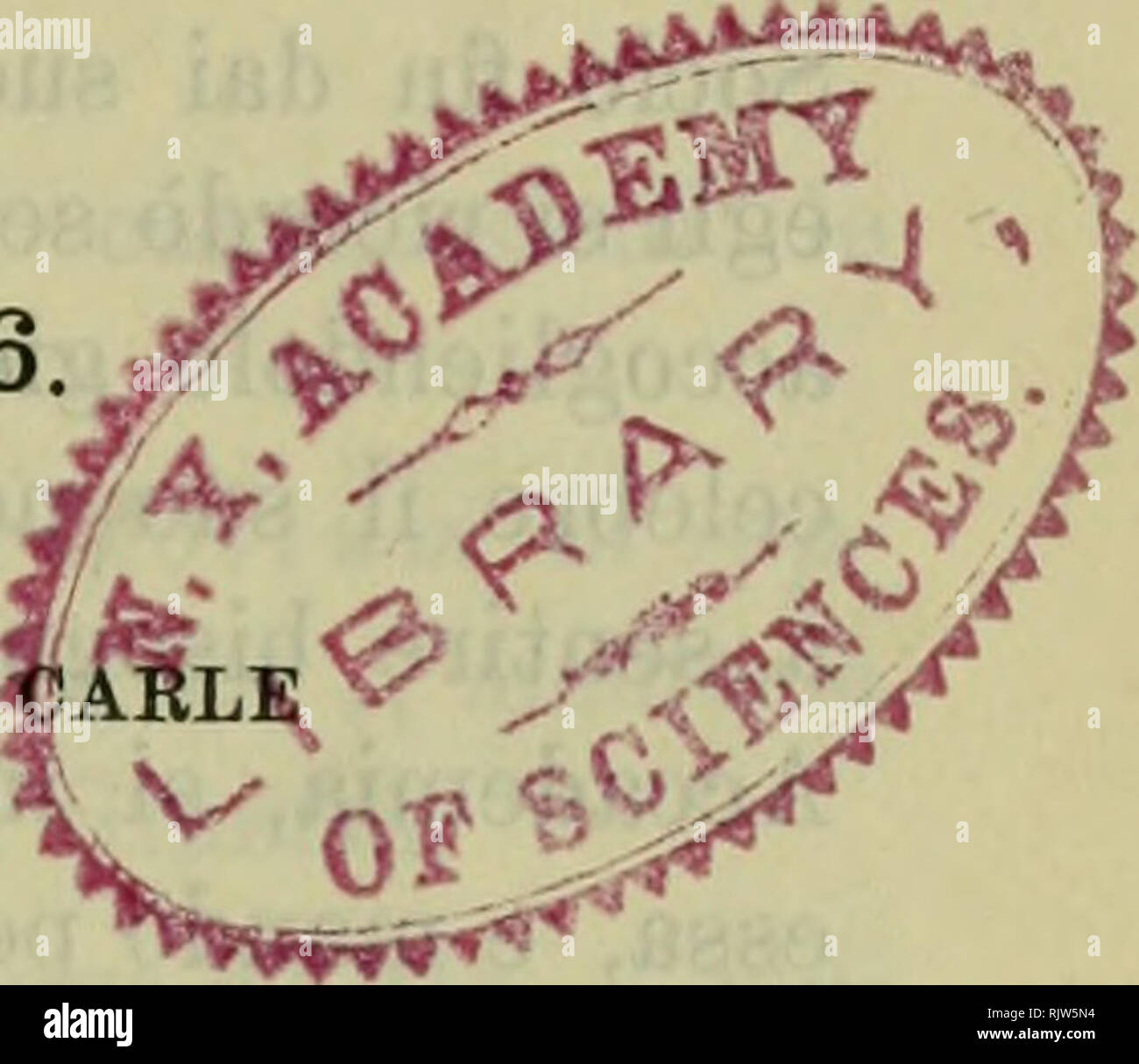 . Atti della Reale Accademia delle Regional di Torino. CLASSE DI REGIONAL FISICHE, JOURNAL E NATURALI/^ Adunanza del 31 Maggio 1896^ PKESIDENZA DEL SOZIO PROF. GIUSEPPE PRESIDENTE dell'Accademia. Sono presenti i Soci: Cossa, Vice-Presidente dell'Accademia, D'Ovidio, Direttore della Classe, Bizzozero, Ferraris, Spezia, GlBELLI, GlACOMINI, CaMERANO, SeGRE, Volterra, JaDANZA, FoÃ, GuARESCHi e Naccari Segretario. Il Presidente partecipata alla Classe La Morte del Sozio Na-zionale nicht residente Luigi Federico Menabrea Marchese di Val Dora, pronuncia Le seguenti Parole: die Nato eine ChambÃ©ry il4s Stockfoto