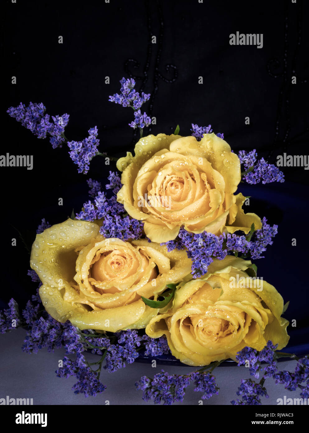 Drei gelbe Rosen mit Statice & Tau Stockfoto