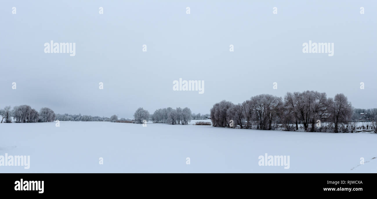 Panorama der Winterlandschaft. Bäume mit Schnee und Frost bedeckt. Stockfoto